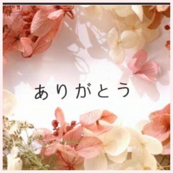 本日のお礼💌