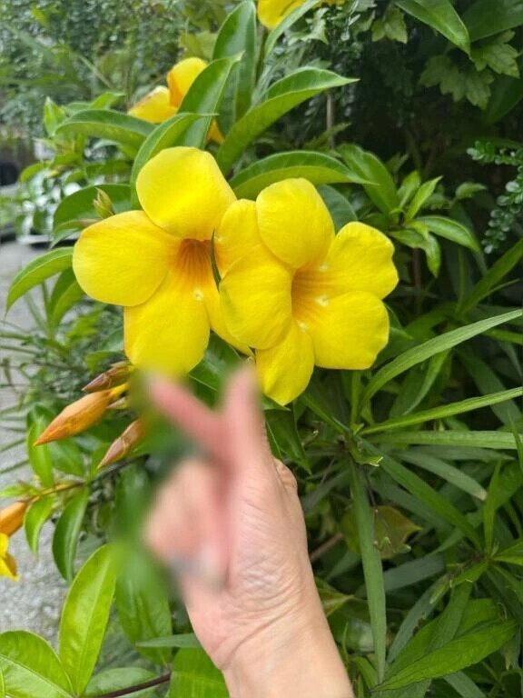 おはようございます😊