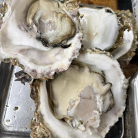 お知らせ𓈒𓂂⋆͛📢⋆