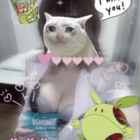 ハロハロー⑅･⏦ﾟ♡