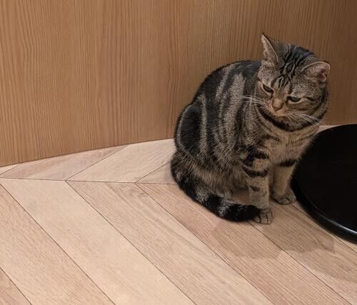 ありがとう!