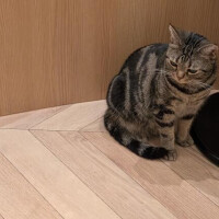 あすか
