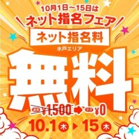 ネット指名🐥
