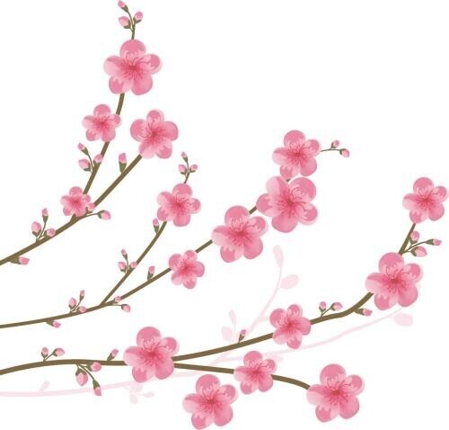 今日もありがとうございました！