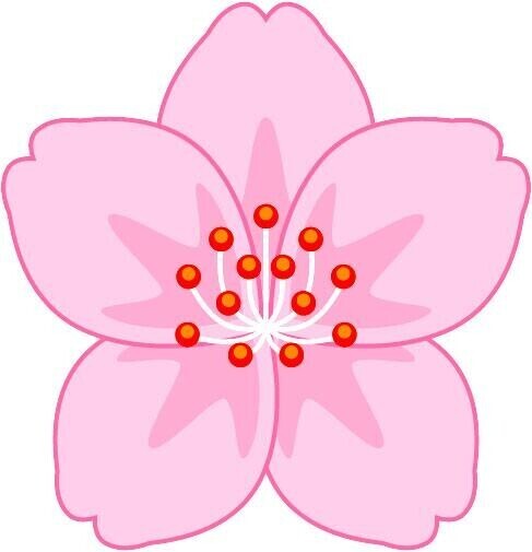 今日もありがとうございました！