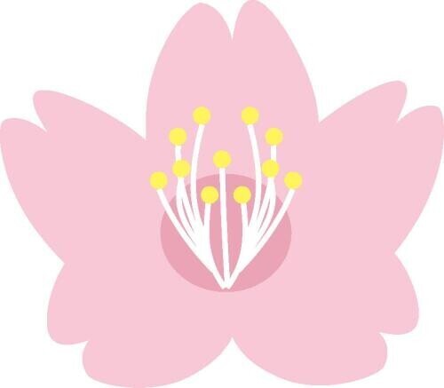今日もありがとうございました！