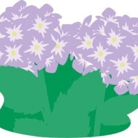 今日もありがとうございました！