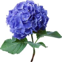 今日もありがとうございました！
