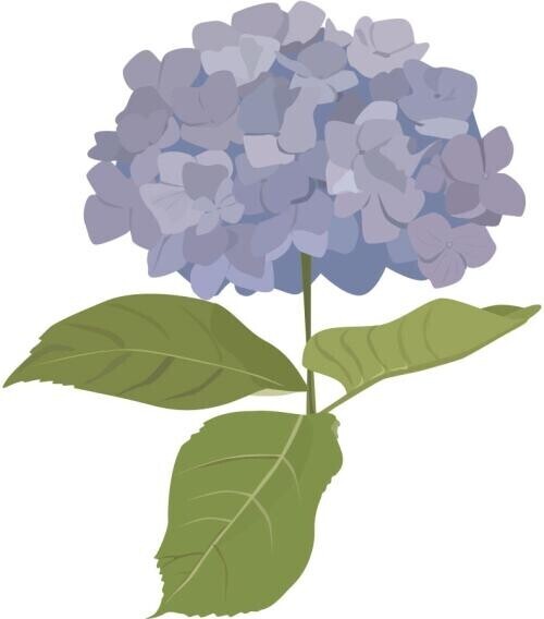 今日もありがとうございました！