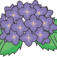 みすず