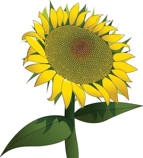 今日もありがとうございました！