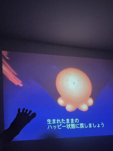 ッピ‼️