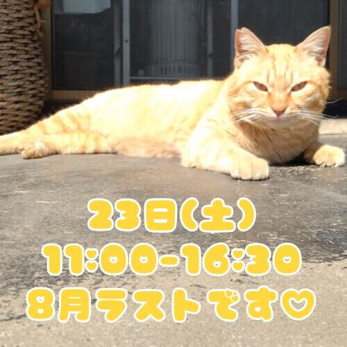 22日♡23日