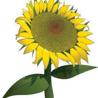 今日もありがとうございました！
