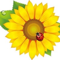 今日もありがとうございました！