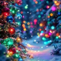 Merry  Christmas  Eve★*☆