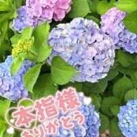 出会いと別れ