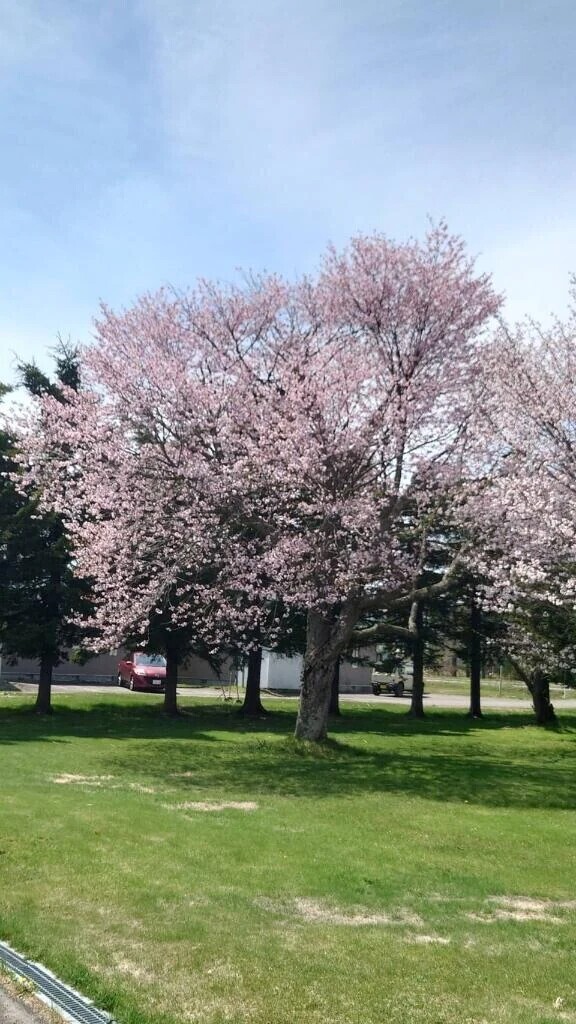 早めに出勤しました♥️