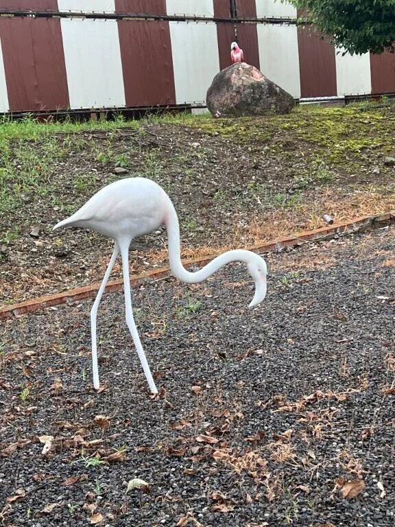 どないしたの😳🙌🌺