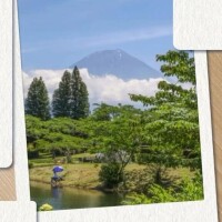 千波（ちなみ）