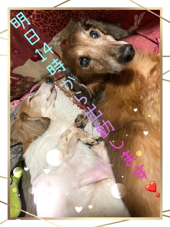 こんなことある？