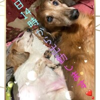 こんなことある？