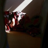 🌗月から来た遊女　第四十一余