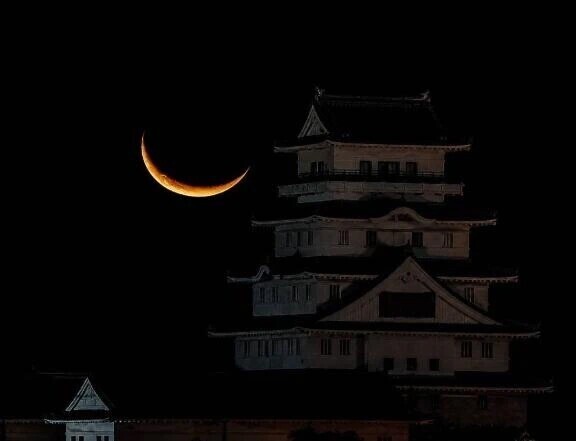 🌙前戯90%右脳開花🪷