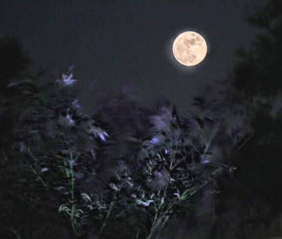 恋する自分に恋してる🌕