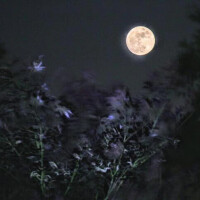 恋する自分に恋してる🌕