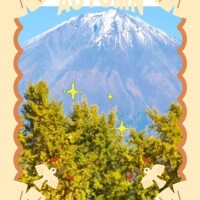 おはようございます??