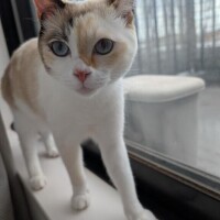 紗衣(さえ)体験中☆☆☆