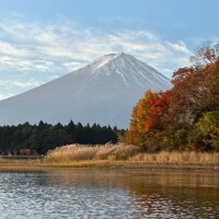 おはようございます??