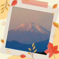 おはようございます??