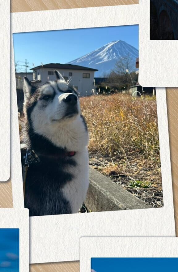 おはようございます?