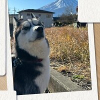 おはようございます?