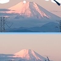 千波（ちなみ）