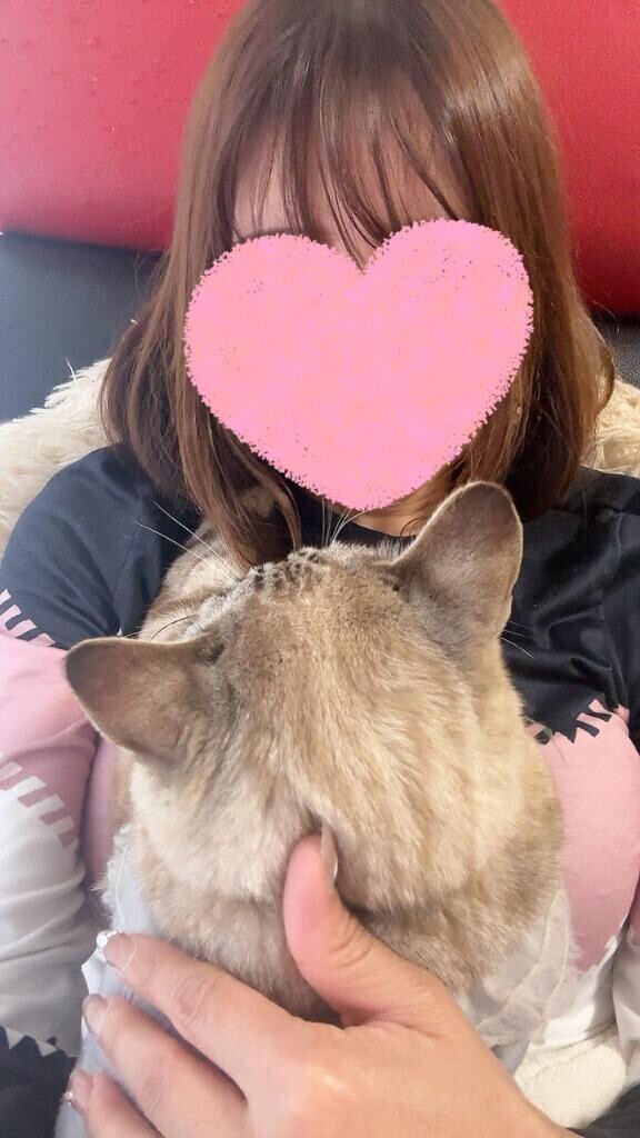 ありがとうございます?