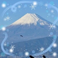 おはようございます??