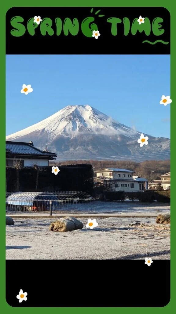 おはようございます☀️