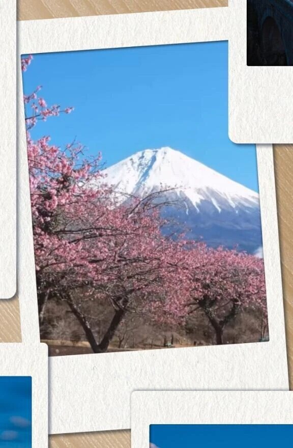 おはようございます☀️