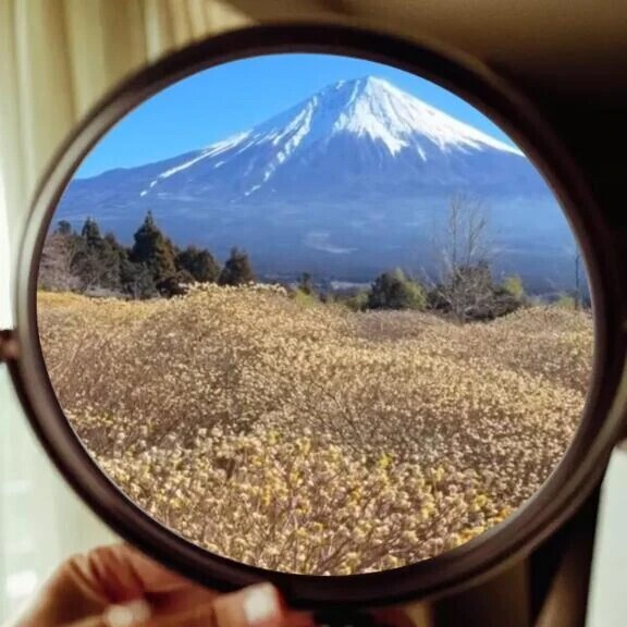 おはようございます☀️
