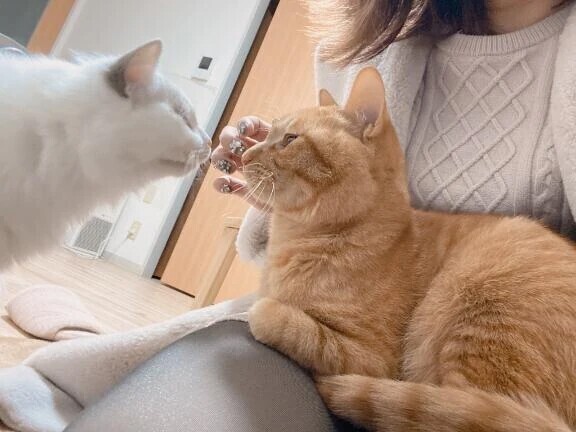 𝐓𝐡𝐚𝐧𝐤 𝐲𝐨𝐮 -