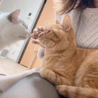 𝐓𝐡𝐚𝐧𝐤 𝐲𝐨𝐮 -