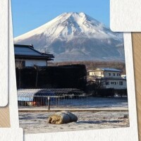 千波（ちなみ）