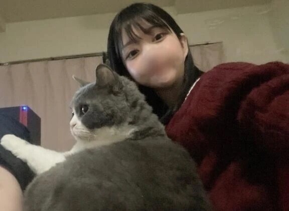 おやすみなさい😴