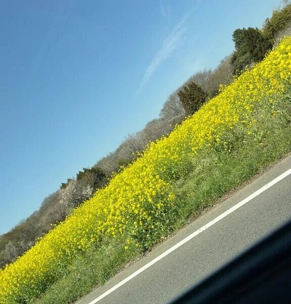 こんにちは(*ˊᵕˋ*)