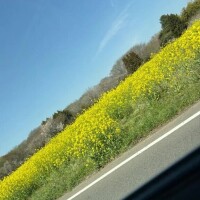 こんにちは(*ˊᵕˋ*)