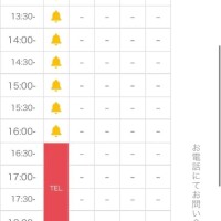 当日枠【16時】1枠のみ