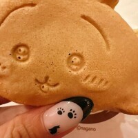 こーんにーちはー！！